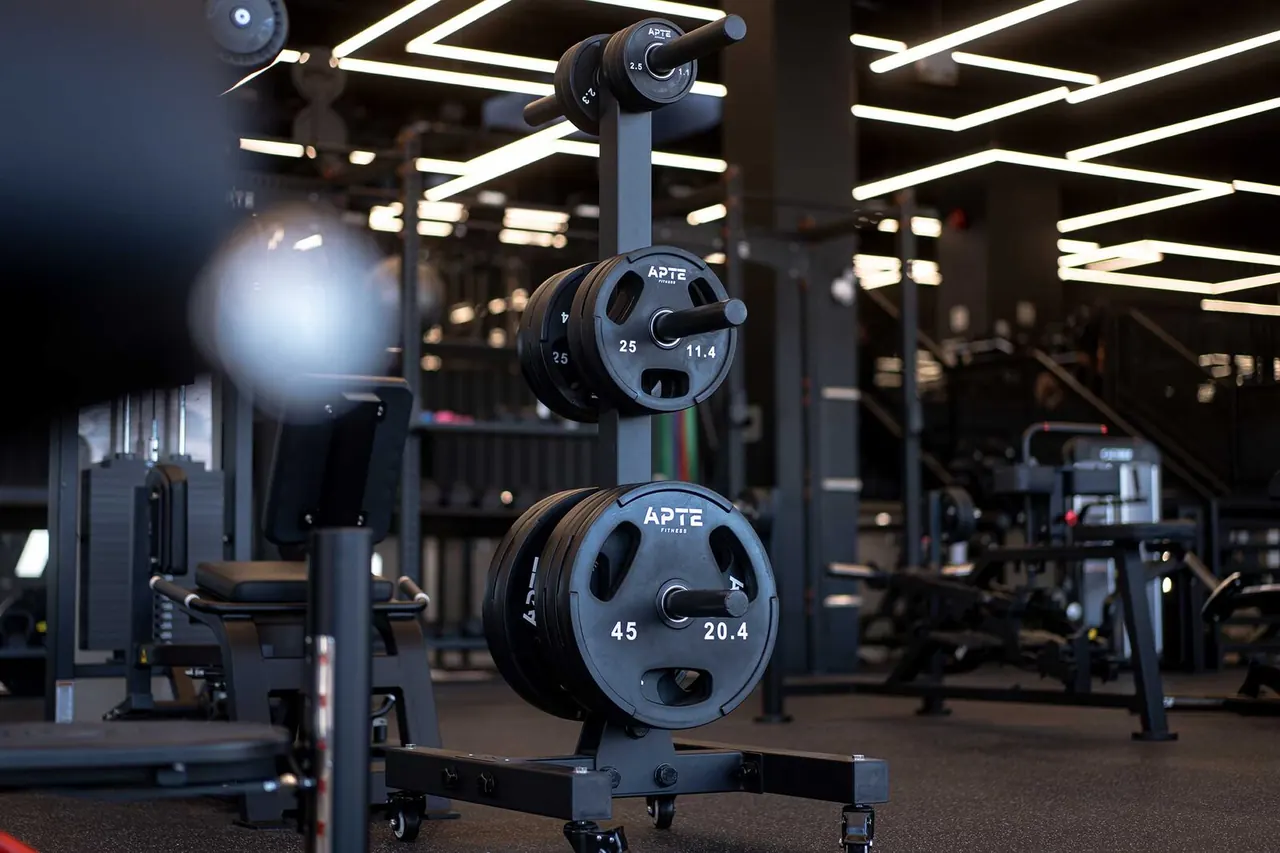 Apte Fitness