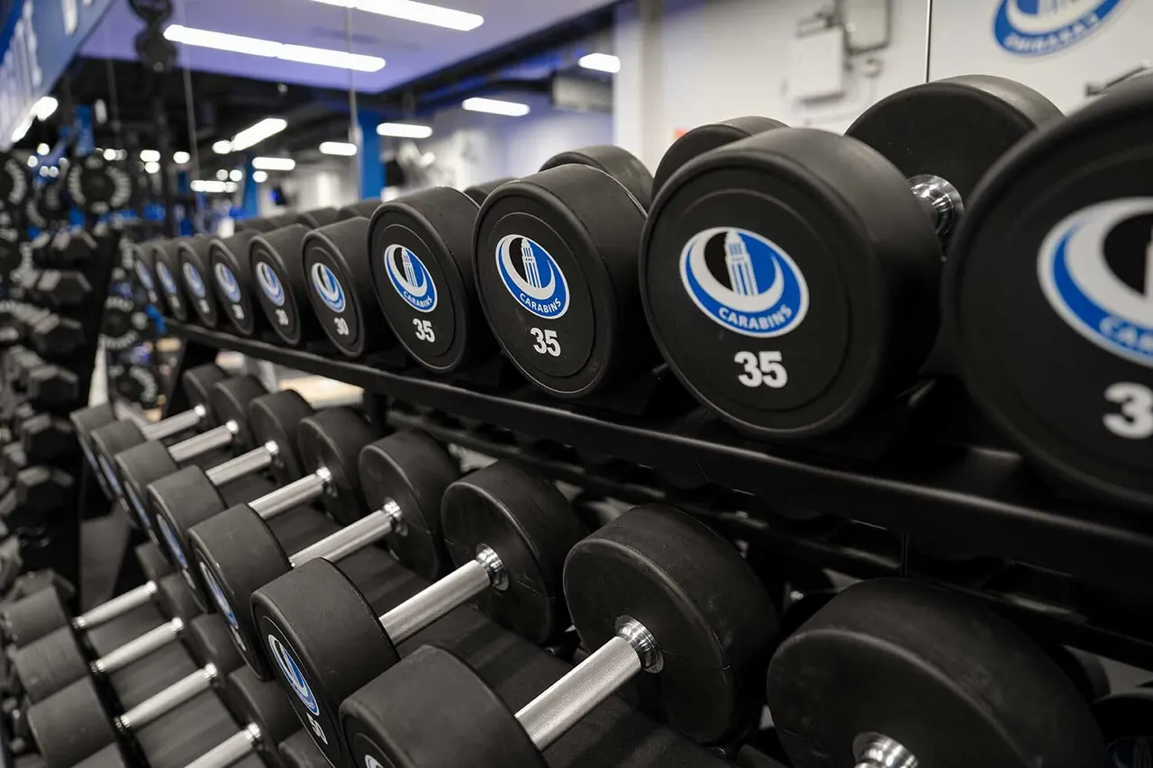 Carabins Salles De Sport Professionnel