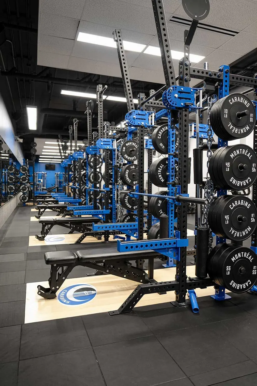 Carabins Salles De Sport Professionnel