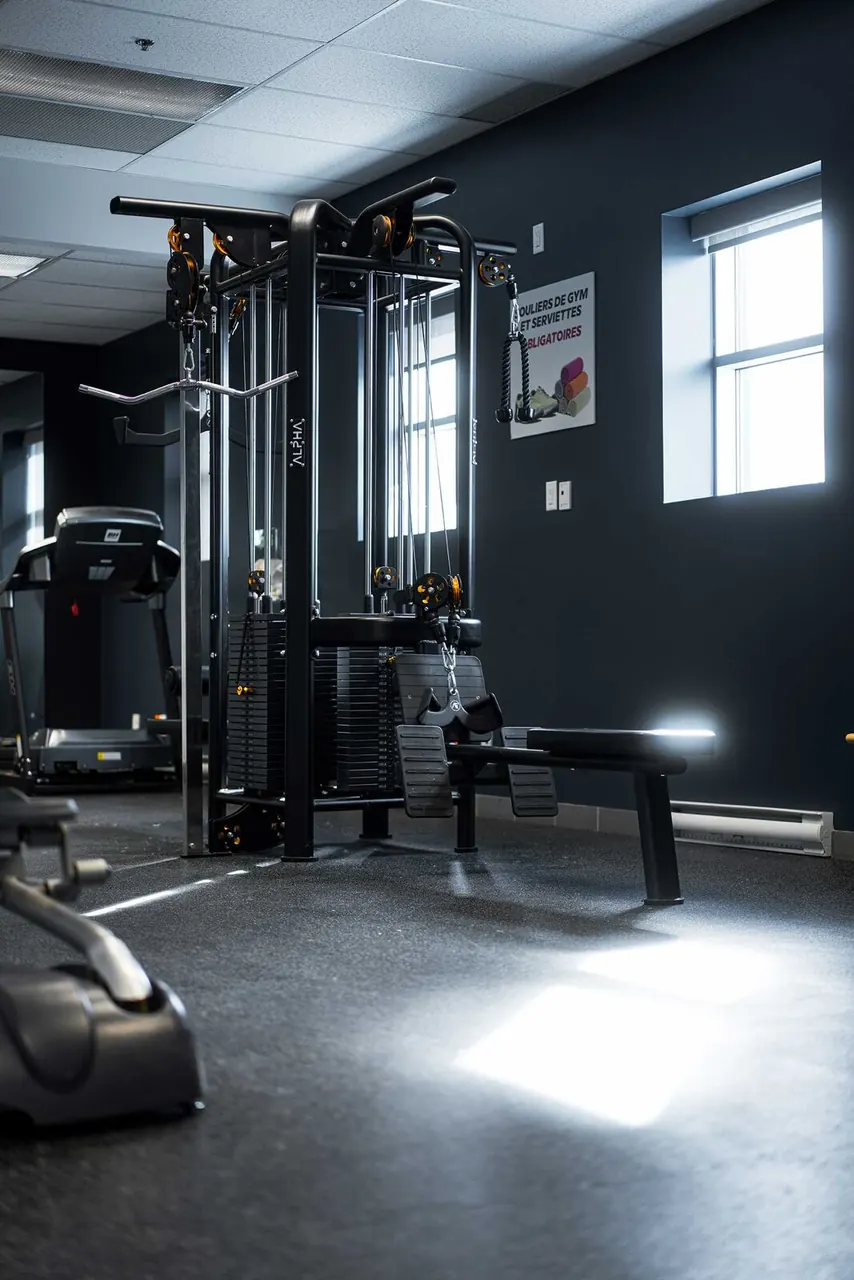 conception professionnelle des salles de sport