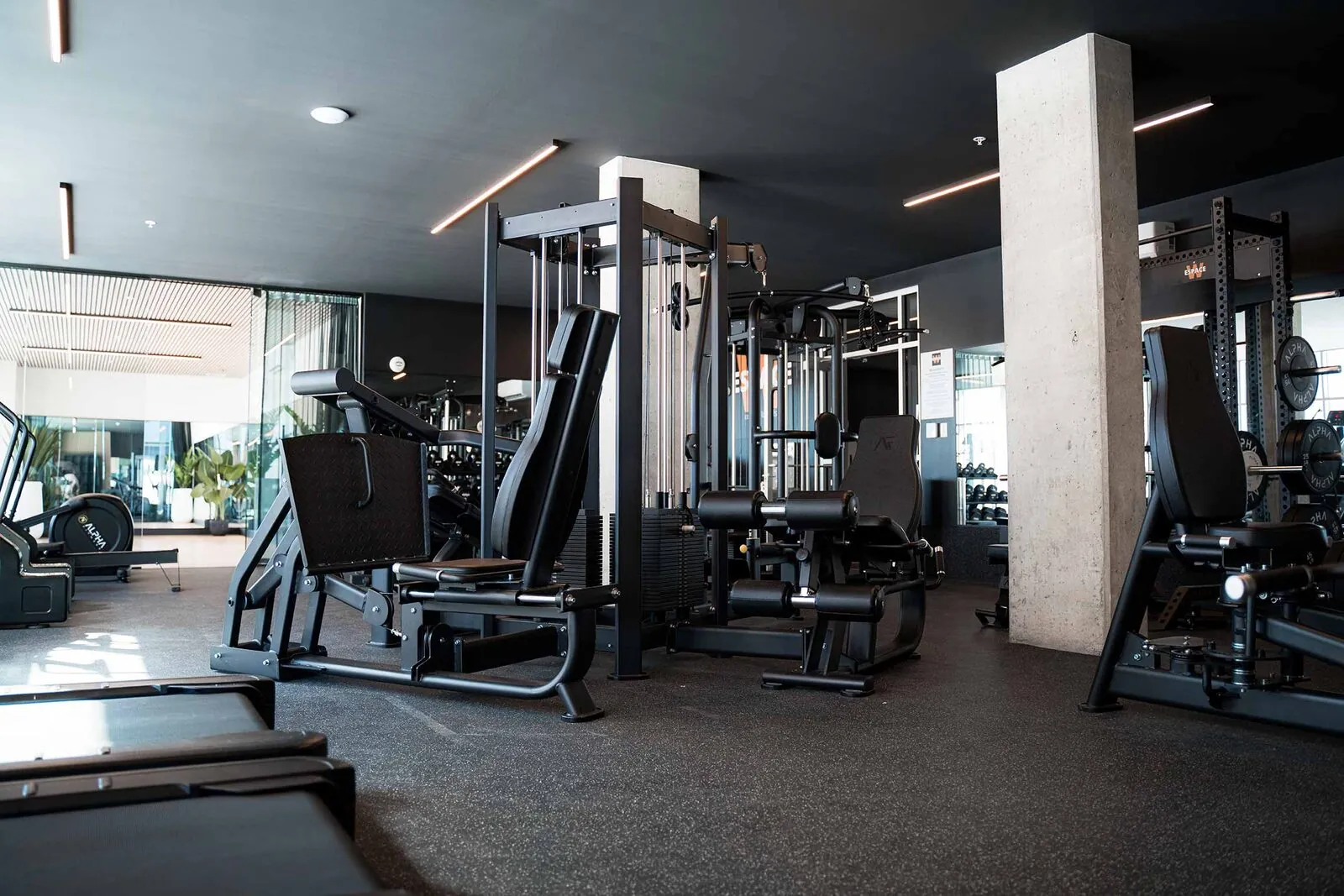 Apte Fitness