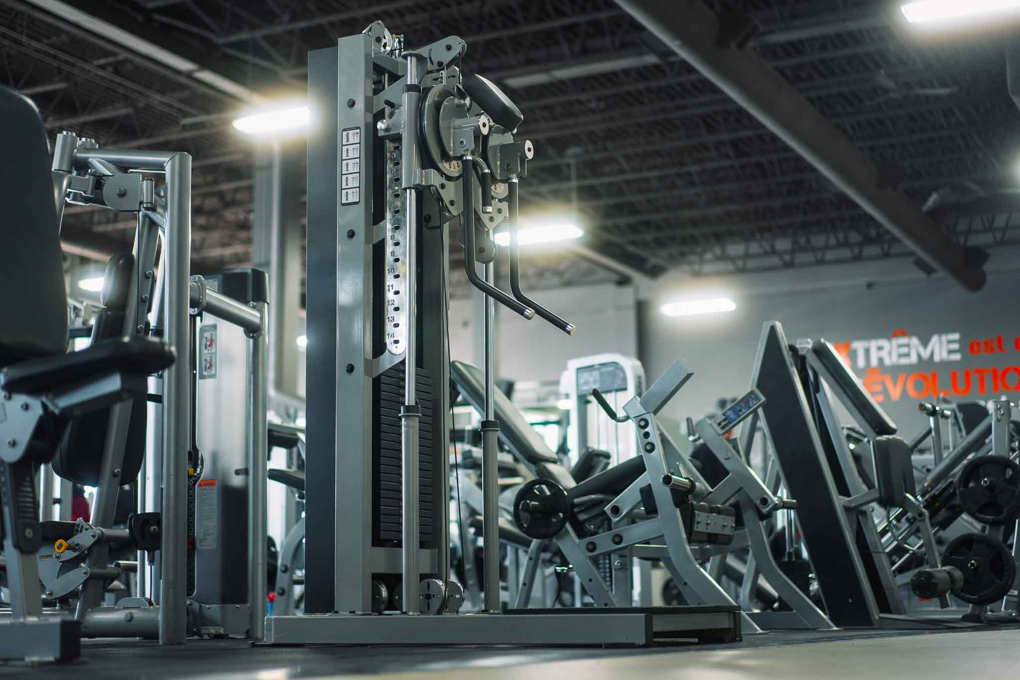 Alpha Fitness