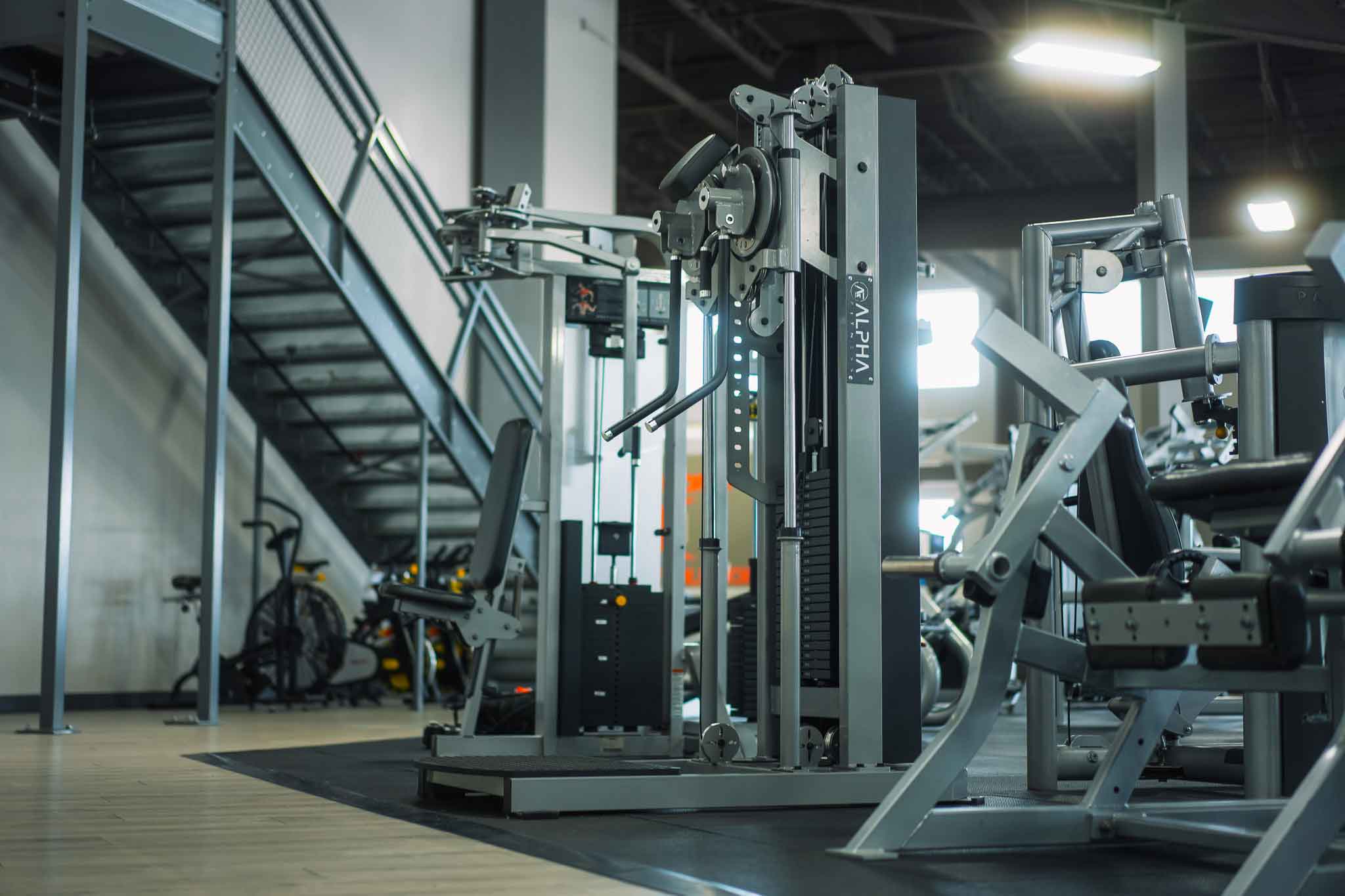 Alpha Fitness