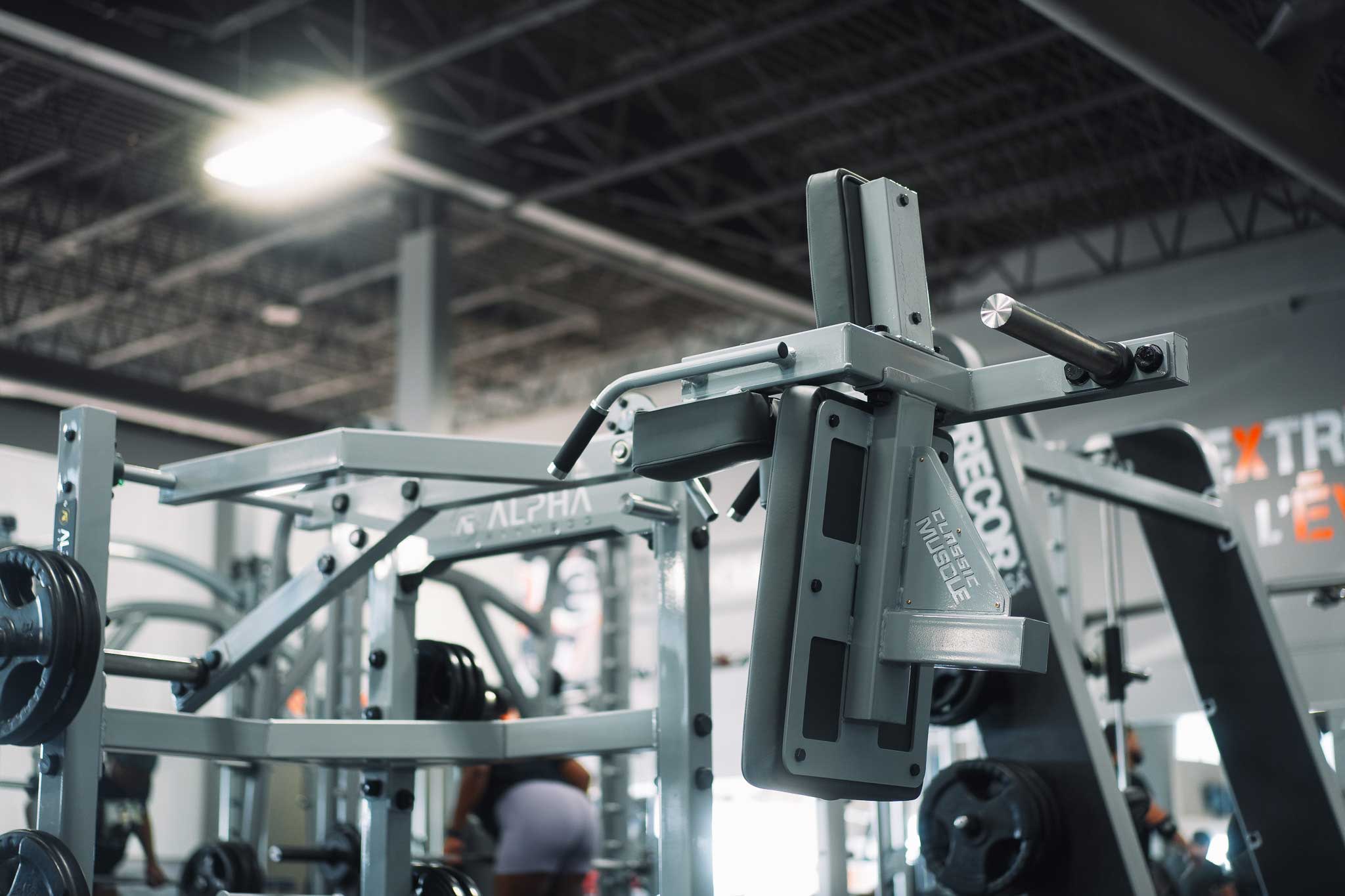 Alpha Fitness