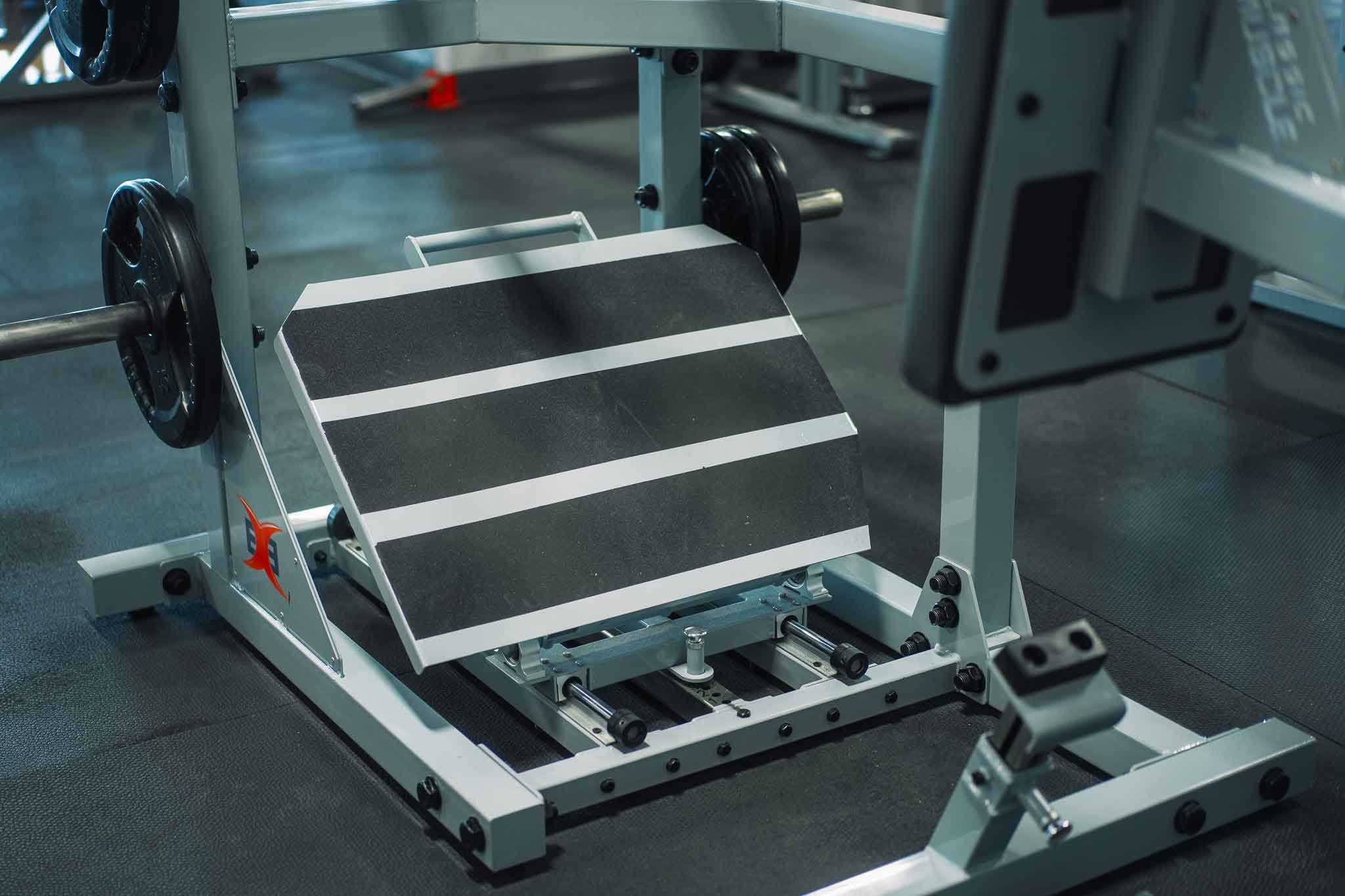 Alpha Fitness