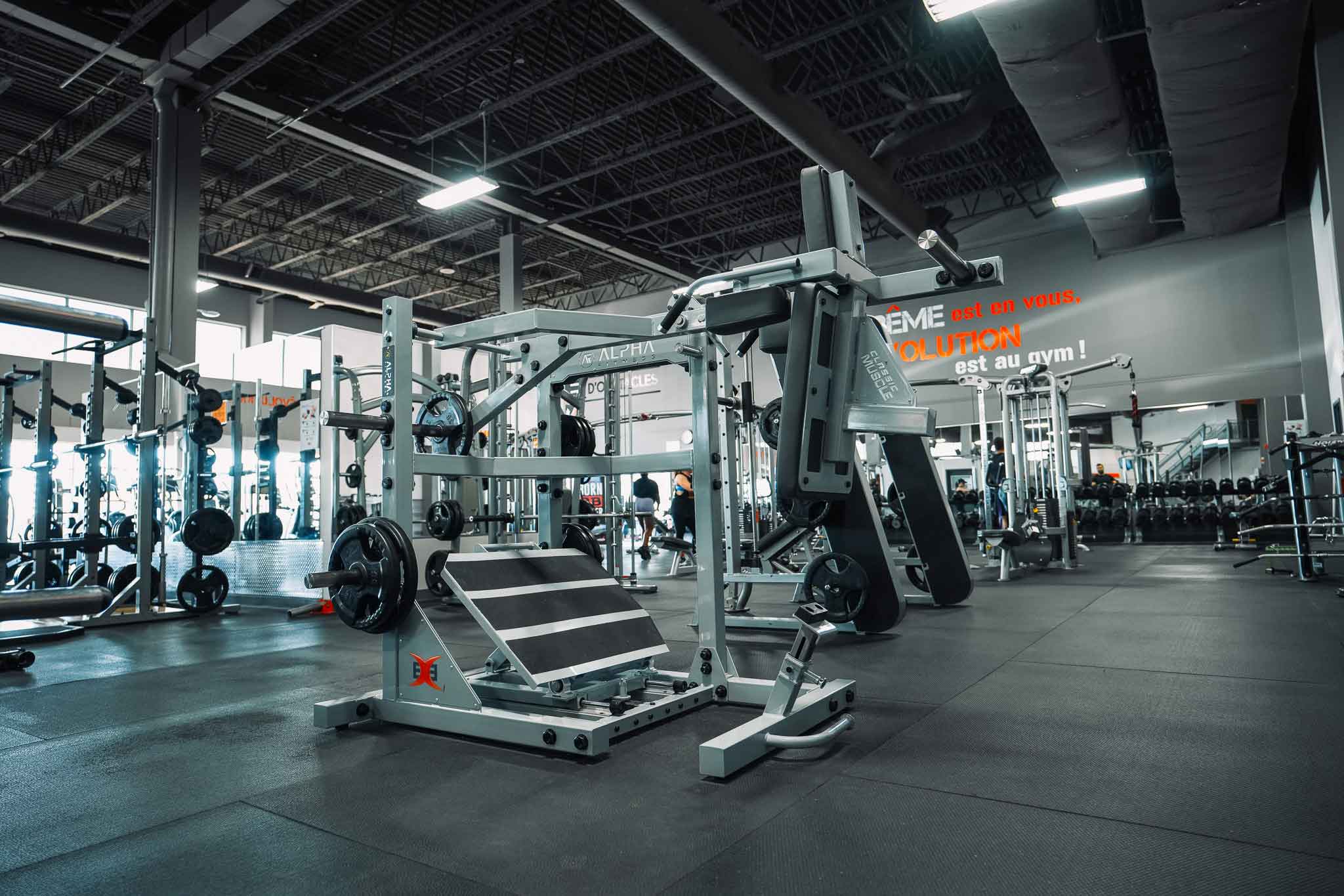 Alpha Fitness