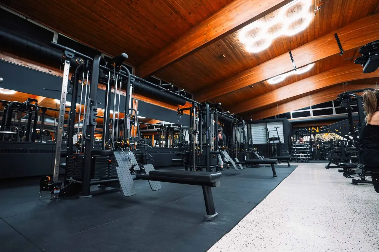 Alpha Fitness