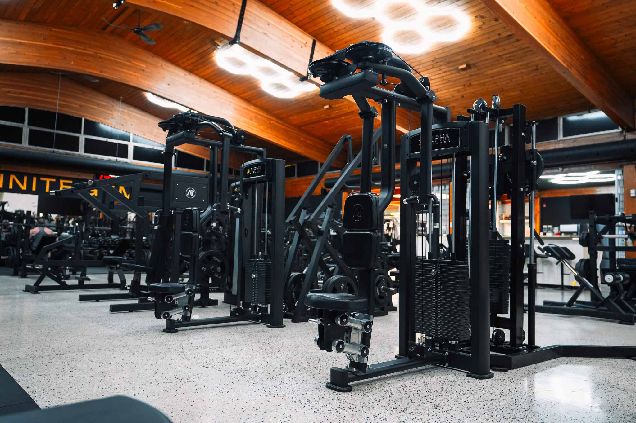 Alpha Fitness