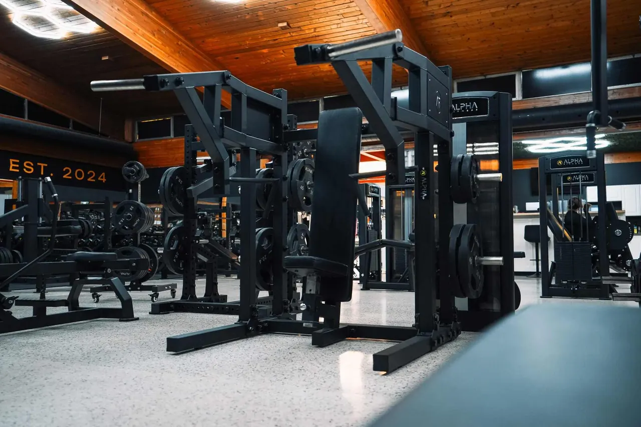 Alpha Fitness