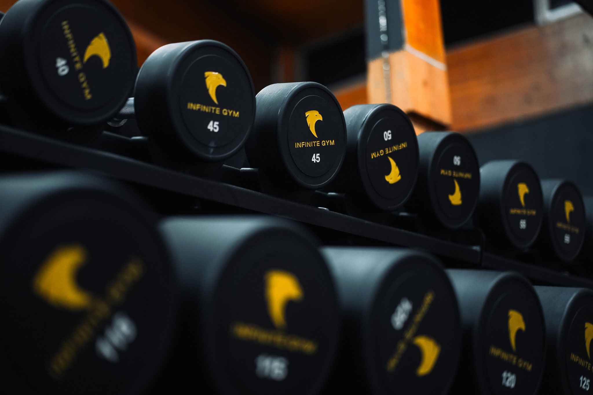 Alpha Fitness