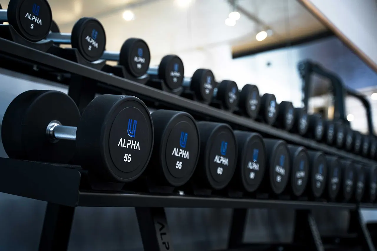 Gym Urbain Salles De Sport Professionnel