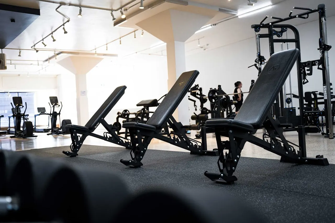 Gym Urbain Salles De Sport Professionnel