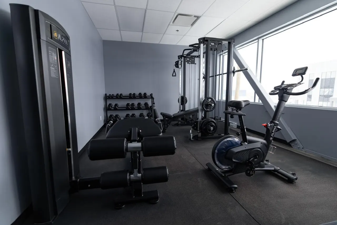 conception professionnelle des salles de sport