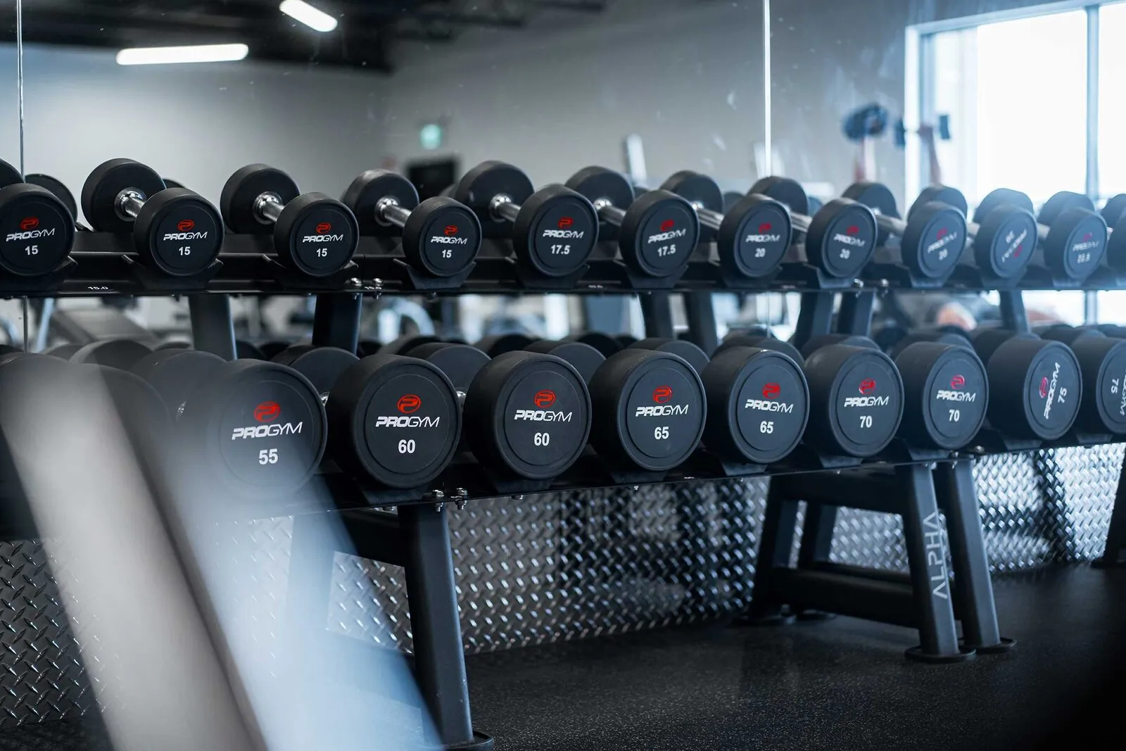 Professional Gym Design