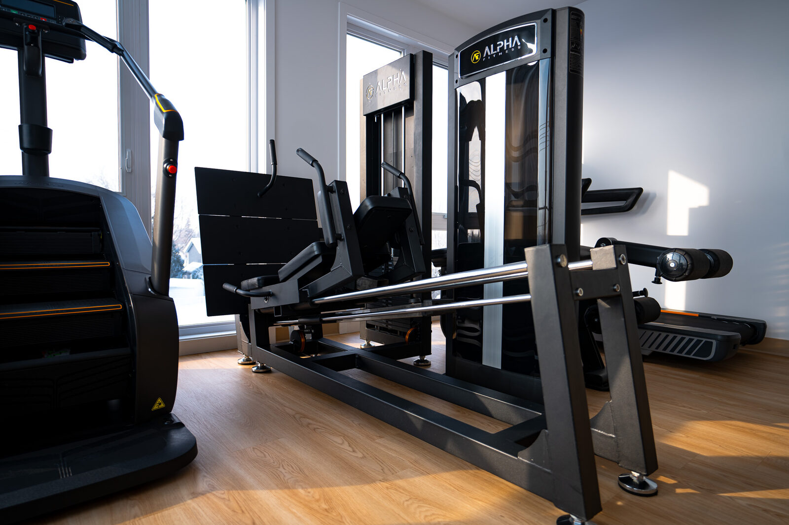 Treana Residential Gym Design
