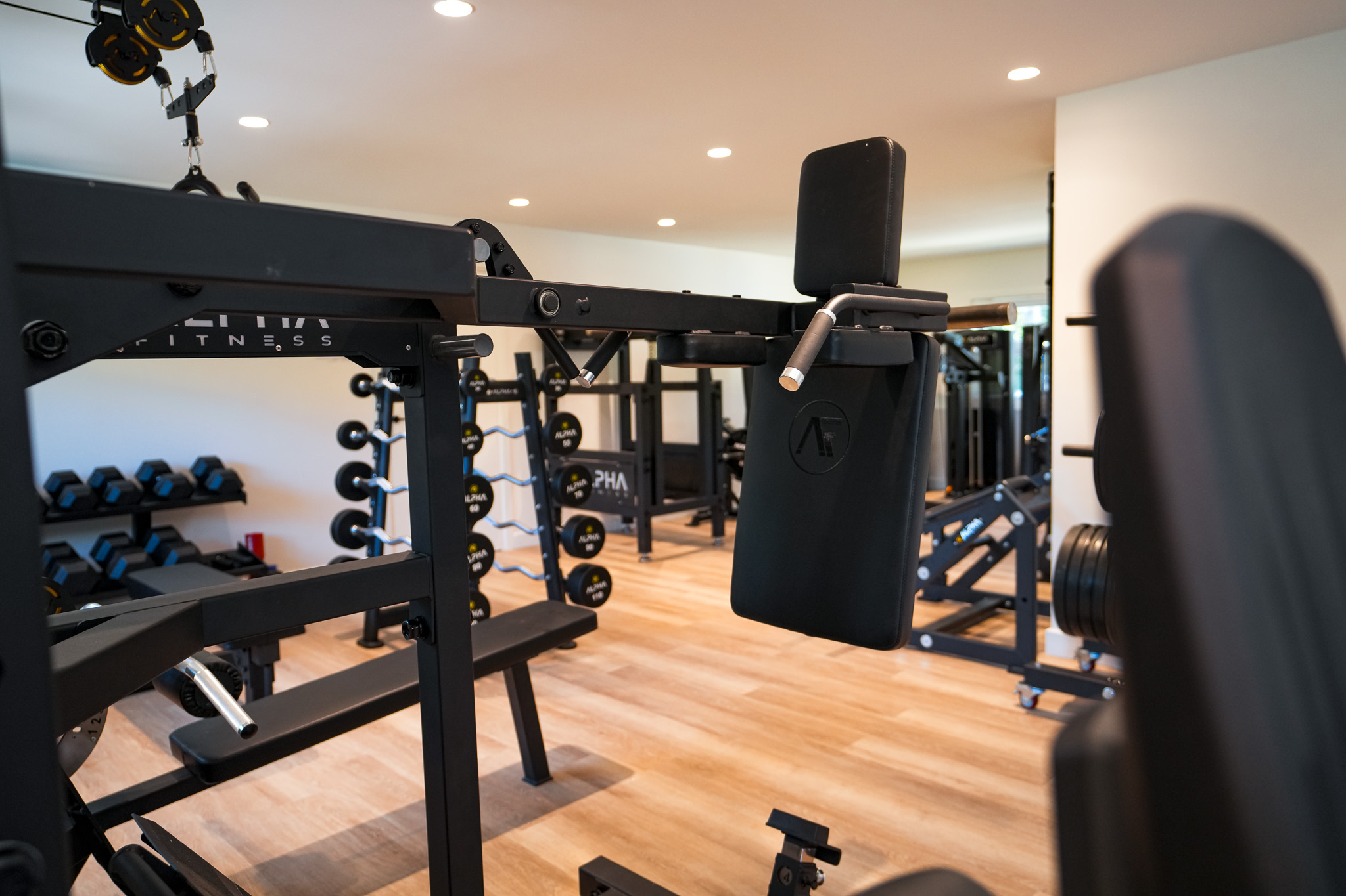 Ultimate Home Gym Design