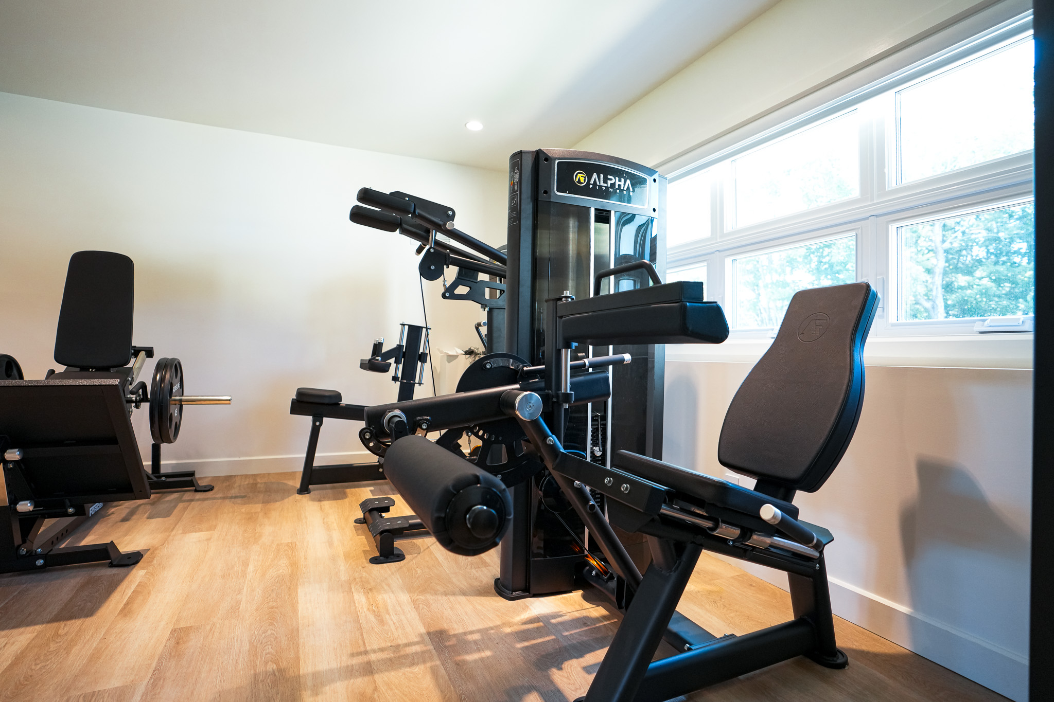 Ultimate Home Gym Design