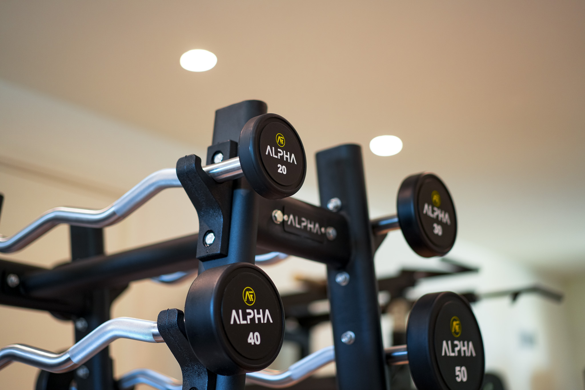 Ultimate Home Gym Design